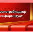 В 2026 году внесены изменения в Федеральный закон Российской Федерации от 07 февраля 1992 г. № 2300-1 «О защите прав потребителей» . - Половинский муниципальный округ